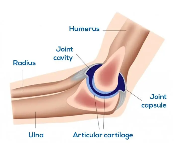 Common Sports Injuries