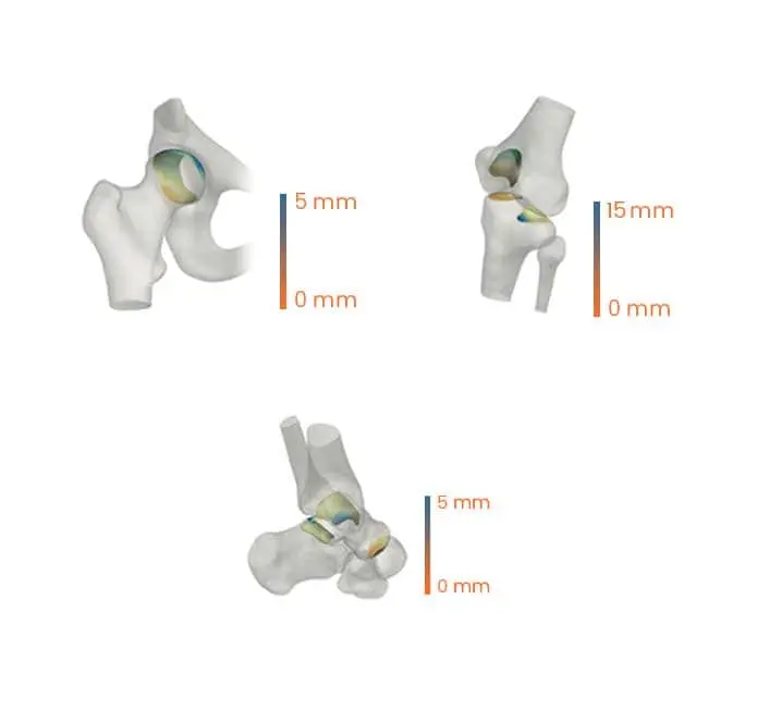 Comprehensive Care for Trauma and Accidents